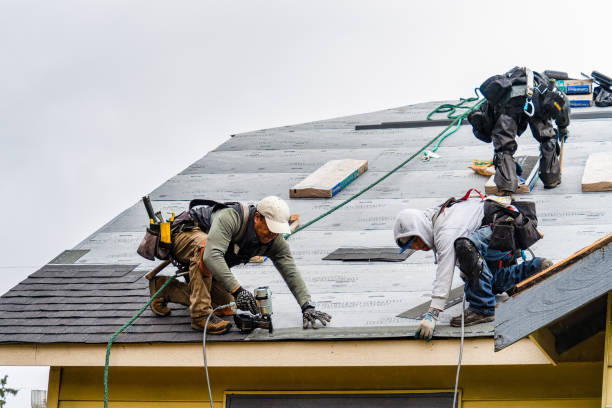 Professional Roofing technician working in Henderson, IL